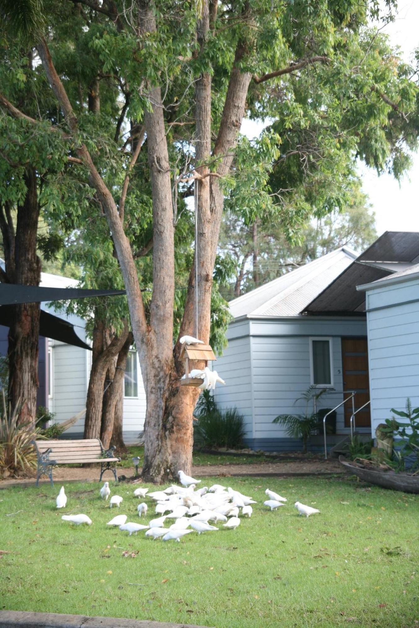 Huskisson Holiday Motel Cabins Jervis Bay Bagian luar foto